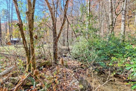 1307 Clear Creek Road Hayesville NC 28904
