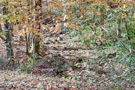 1307 Clear Creek Road Hayesville NC 28904