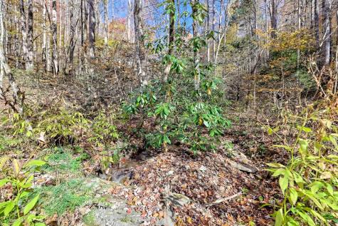 1307 Clear Creek Road Hayesville NC 28904