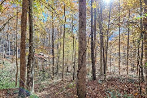 1307 Clear Creek Road Hayesville NC 28904