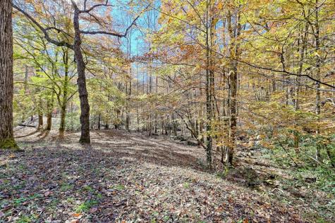 1307 Clear Creek Road Hayesville NC 28904