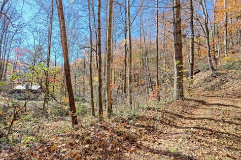 1307 Clear Creek Road Hayesville NC 28904