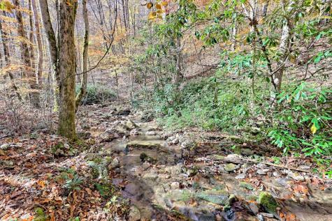 1307 Clear Creek Road Hayesville NC 28904