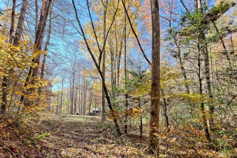 1307 Clear Creek Road Hayesville NC 28904