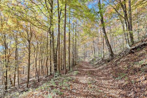 1307 Clear Creek Road Hayesville NC 28904