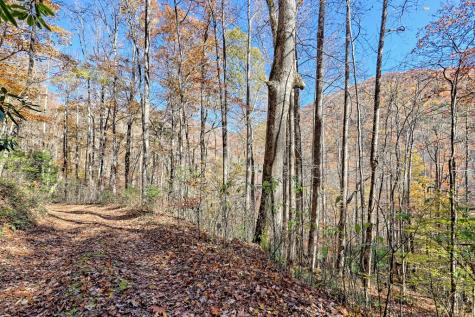 1307 Clear Creek Road Hayesville NC 28904
