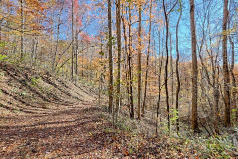 1307 Clear Creek Road Hayesville NC 28904