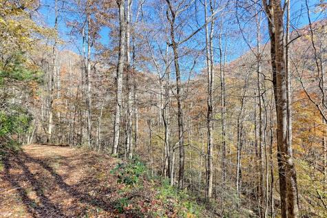 1307 Clear Creek Road Hayesville NC 28904