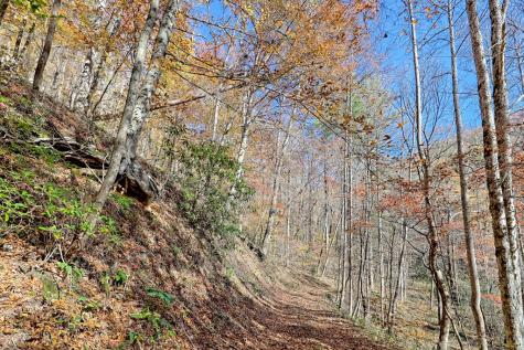 1307 Clear Creek Road Hayesville NC 28904