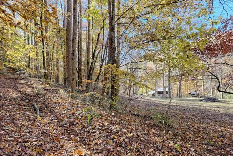 1307 Clear Creek Road Hayesville NC 28904