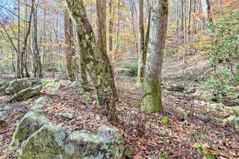 1307 Clear Creek Road Hayesville NC 28904