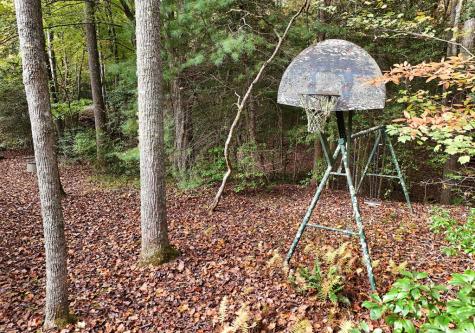 433 Tomahawk Trail Blairsville GA 30512