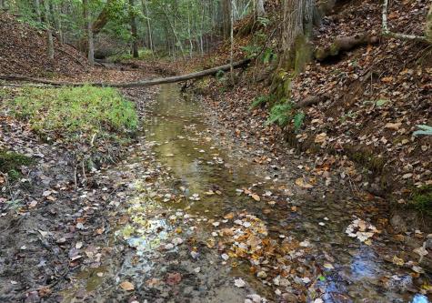 433 Tomahawk Trail Blairsville GA 30512