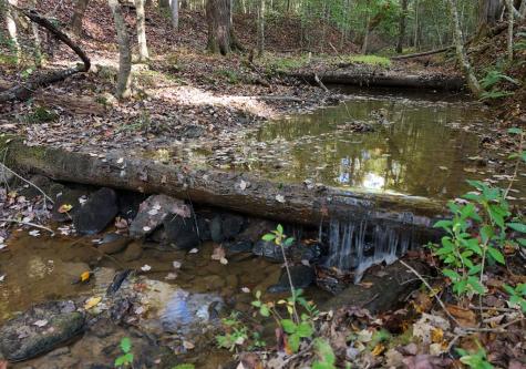 433 Tomahawk Trail Blairsville GA 30512
