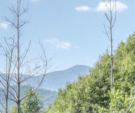 5928 Brasstown Creek Estate Young Harris GA 30582