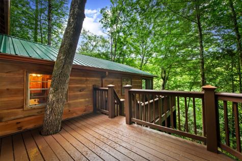 184 Fightingtown Drive Blue Ridge GA 30513
