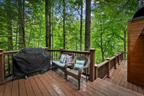 184 Fightingtown Drive Blue Ridge GA 30513