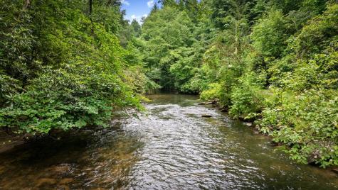 184 Fightingtown Drive Blue Ridge GA 30513