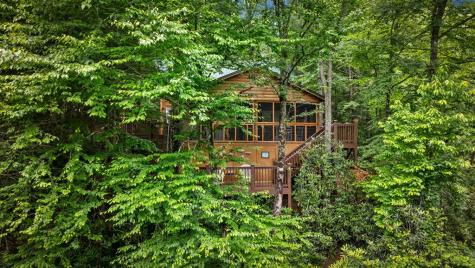 184 Fightingtown Drive Blue Ridge GA 30513