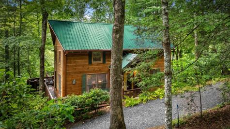184 Fightingtown Drive Blue Ridge GA 30513