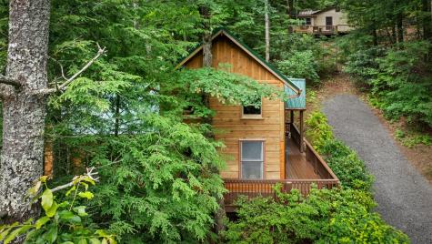 184 Fightingtown Drive Blue Ridge GA 30513