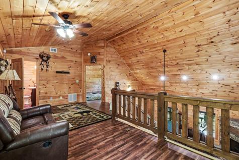 55 Hallee Drive Mineral Bluff GA 30559