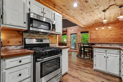 55 Hallee Drive Mineral Bluff GA 30559