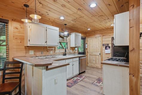 55 Hallee Drive Mineral Bluff GA 30559