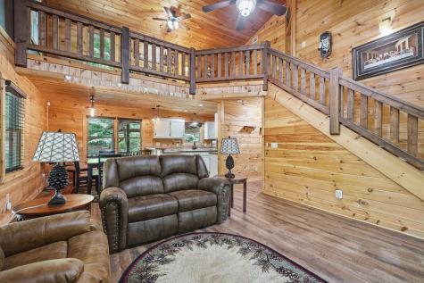 55 Hallee Drive Mineral Bluff GA 30559