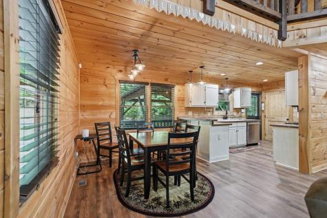 55 Hallee Drive Mineral Bluff GA 30559