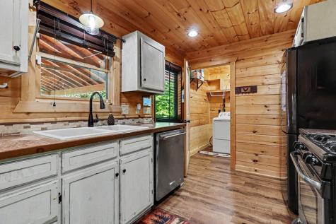55 Hallee Drive Mineral Bluff GA 30559