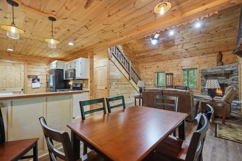 55 Hallee Drive Mineral Bluff GA 30559