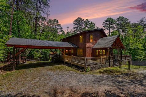 55 Hallee Drive Mineral Bluff GA 30559