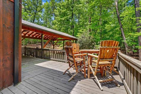 55 Hallee Drive Mineral Bluff GA 30559