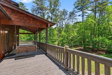 55 Hallee Drive Mineral Bluff GA 30559