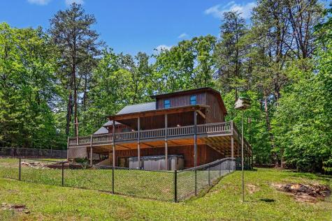 55 Hallee Drive Mineral Bluff GA 30559