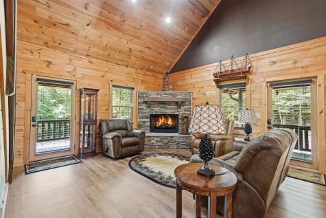 55 Hallee Drive Mineral Bluff GA 30559