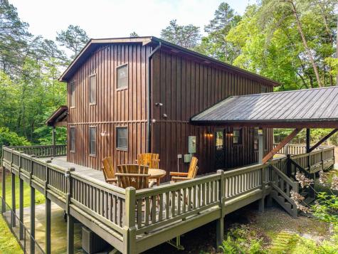 55 Hallee Drive Mineral Bluff GA 30559