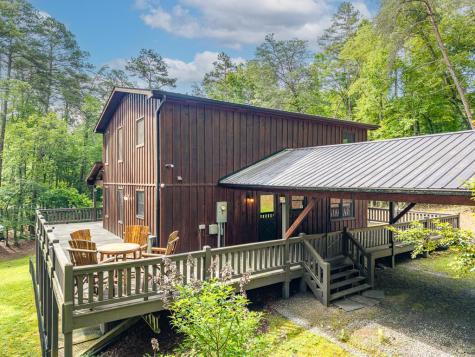 55 Hallee Drive Mineral Bluff GA 30559