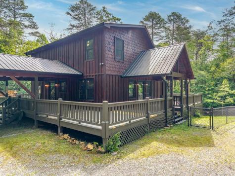55 Hallee Drive Mineral Bluff GA 30559