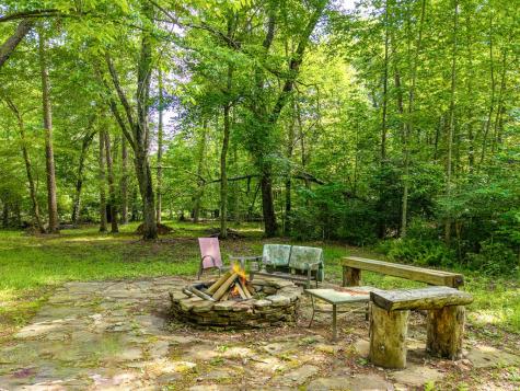 55 Hallee Drive Mineral Bluff GA 30559