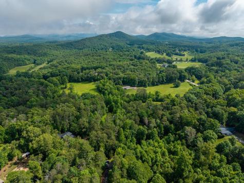 55 Hallee Drive Mineral Bluff GA 30559