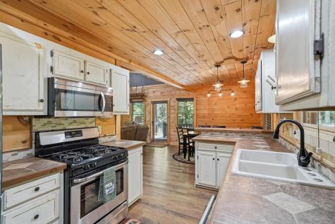 55 Hallee Drive Mineral Bluff GA 30559