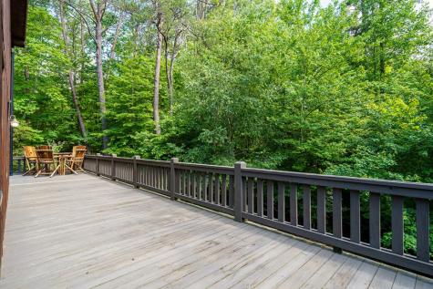 55 Hallee Drive Mineral Bluff GA 30559
