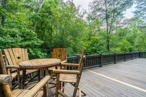 55 Hallee Drive Mineral Bluff GA 30559