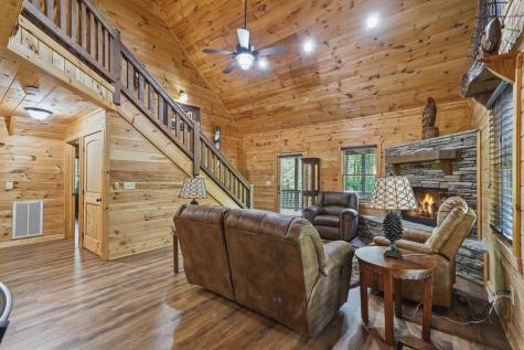 55 Hallee Drive Mineral Bluff GA 30559
