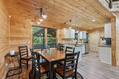 55 Hallee Drive Mineral Bluff GA 30559