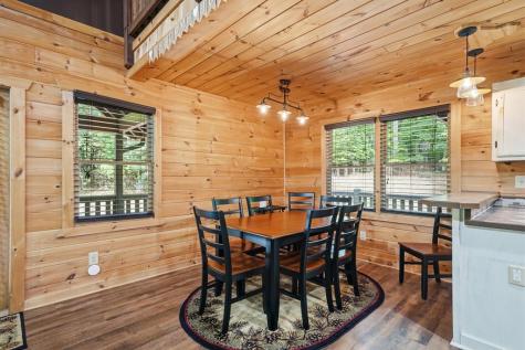 55 Hallee Drive Mineral Bluff GA 30559