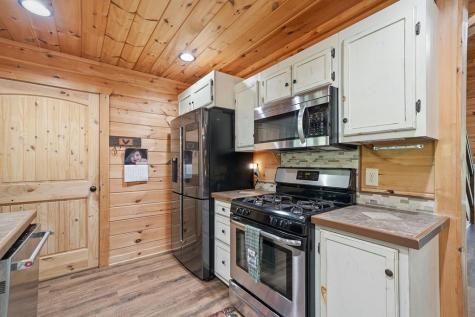 55 Hallee Drive Mineral Bluff GA 30559