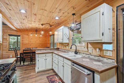 55 Hallee Drive Mineral Bluff GA 30559
